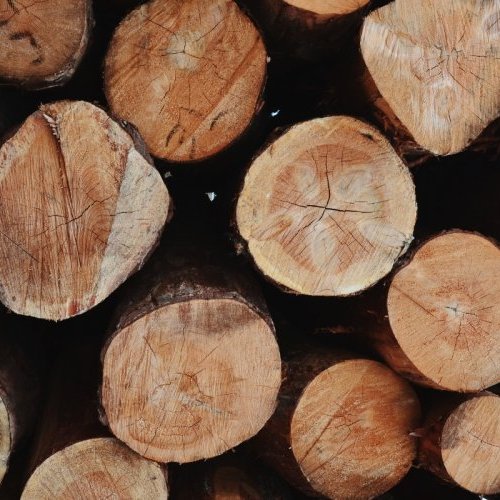 Quel est le meilleur bois de chauffage pour une cheminée ?